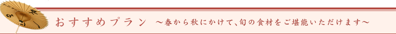 おすすめプラン