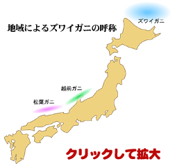 拡大マップ