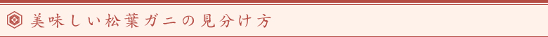 美味しい松葉がにの見分け方